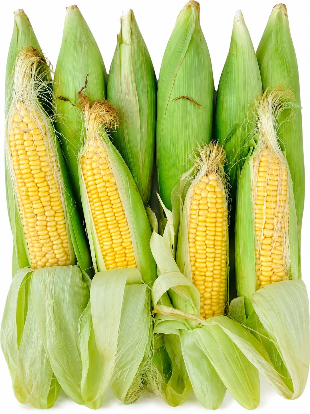 Misty Vhutta (Sweet Corn)